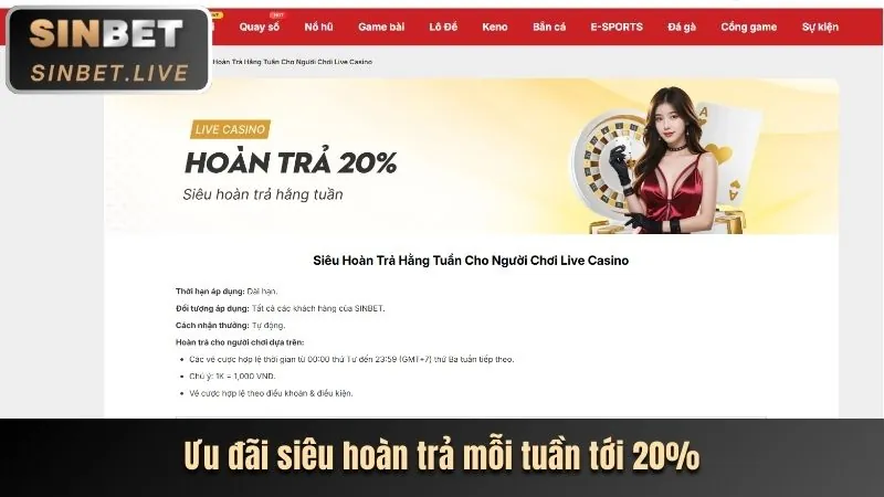 Hoàn trả thể thao và sòng bạc shbet50